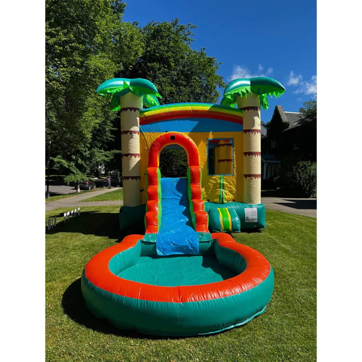 Tropical Palm Bounce House and Single Slide with Pool 2